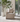 Ezra Dining Chair