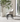 Luca Dining Chair