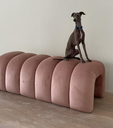 Caterpillar Bench