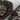 69f5c242d2b95f0665546d23_row-10-pwzrswiper-lazy-image-2-_1778688362782.jpg